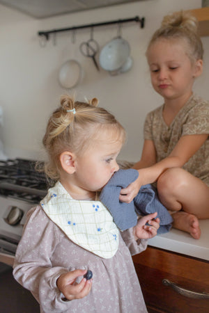 Soft Bibs – Bandana Blueberries