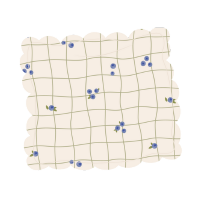 Soft Petal Cushion Covers (Set of 2) – Blueberries