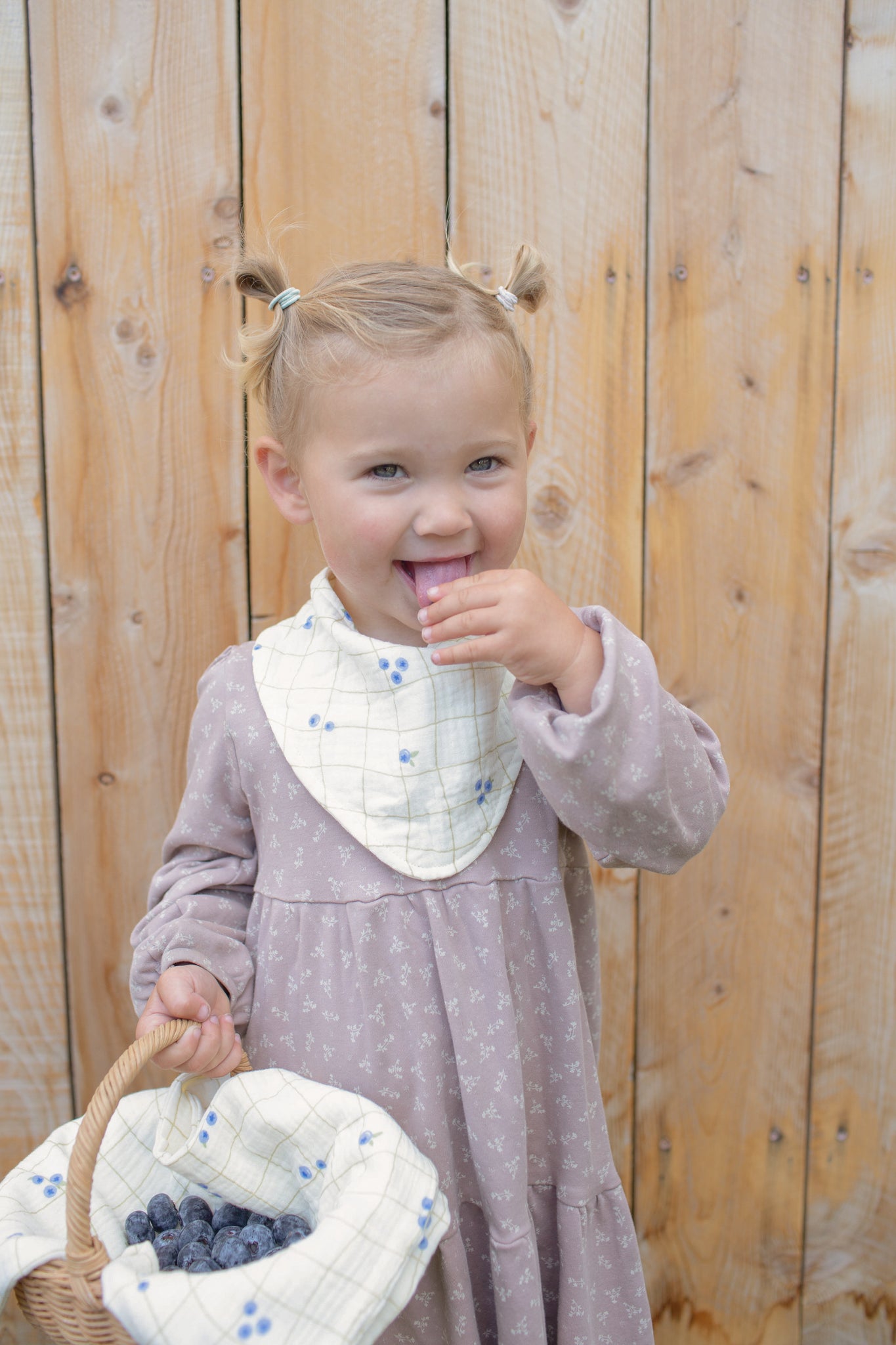 Soft Bibs – Bandana Blueberries
